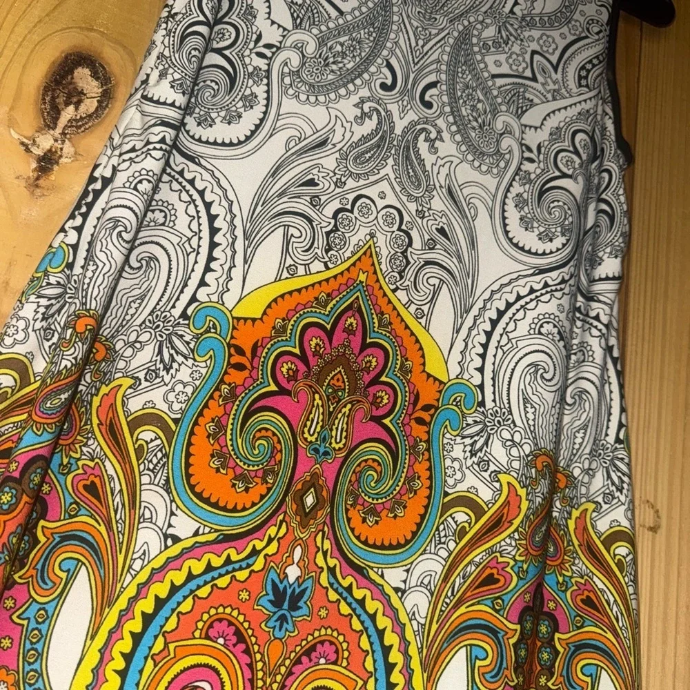 Sandra Darren Multicolor Paisley Dress - Picture 2 of 5